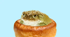 Тест: угадайте, съедобное или несъедобное