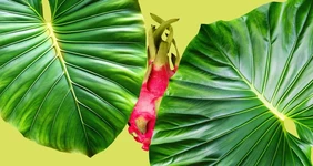 Тест: какой вы экзотический фрукт