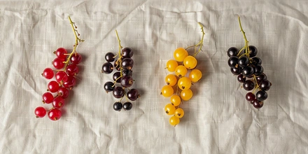 Чёрная, красная и&nbsp;белая: чем полезна смородина