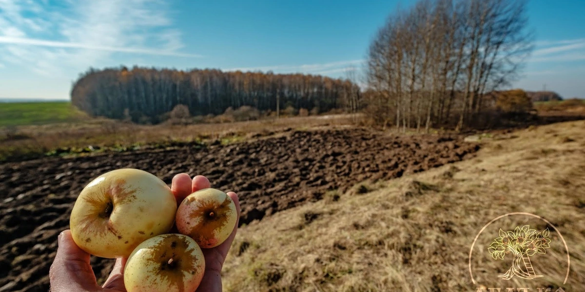 Фото из&nbsp;личного архива Яна Йираско