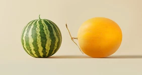 Арбуз или дыня: что полезнее и&nbsp;вкуснее 
