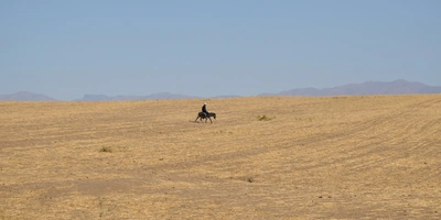 Дорога на&nbsp;Джизак: кто стоит за&nbsp;производством дынь для&nbsp;ВкусВилла