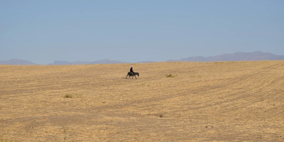 Дорога на&nbsp;Джизак: кто стоит за&nbsp;производством дынь для&nbsp;ВкусВилла