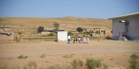 Дорога на&nbsp;Джизак: кто стоит за&nbsp;производством дынь для&nbsp;ВкусВилла