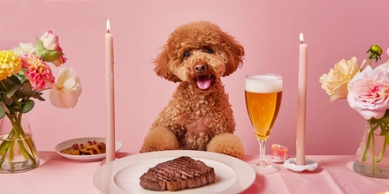 «Пива мне и&nbsp;моей собаке». Зачем мы это покупаем?