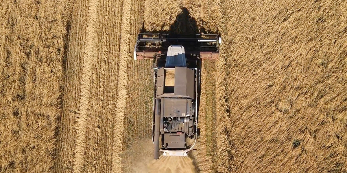 Овсяная каша без&nbsp;глютена: где мы её нашли