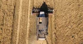 Овсяная каша без&nbsp;глютена: где мы её нашли