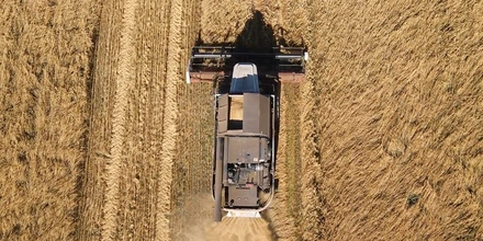 Овсяная каша без&nbsp;глютена: где мы её нашли