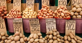 «Если рыба не дышит, с&nbsp;ней не разговаривают»: гуляем по&nbsp;рядам ростовского «Старбаза»