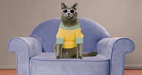 Исследование: в&nbsp;честь какой еды мы чаще всего называем своих питомцев?