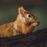 Как правильно кормить зверей и&nbsp;птиц в&nbsp;парках