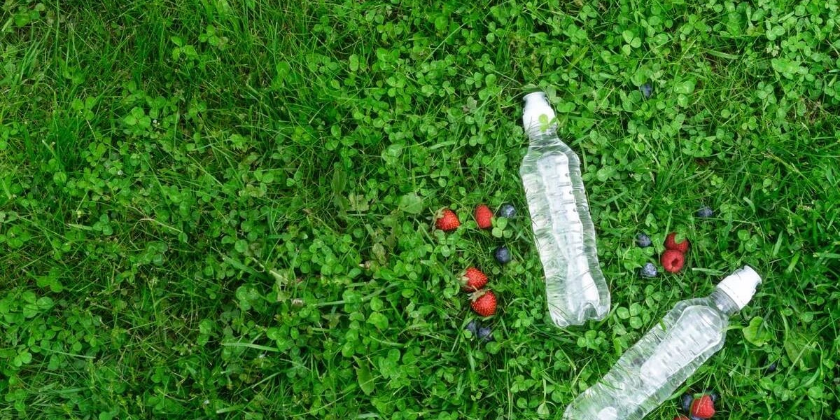 Какую воду лучше пить: газированную или без&nbsp;газа