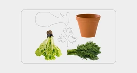 Что можно вырастить дома на&nbsp;подоконнике