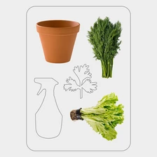 Что можно вырастить дома на&nbsp;подоконнике