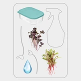 Как вырастить микрозелень дома