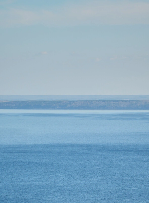 Как на&nbsp;производстве зефира справились с&nbsp;кризисом и&nbsp;подняли уровень качества