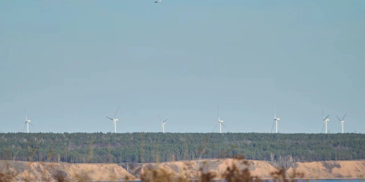 Как на&nbsp;производстве зефира справились с&nbsp;кризисом и&nbsp;подняли уровень качества