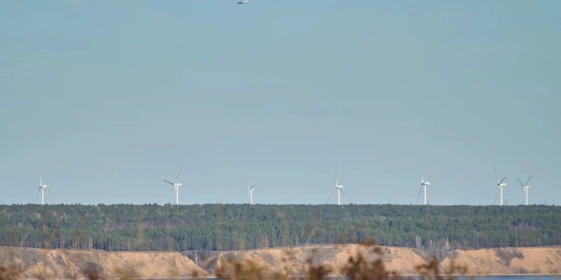 Как на&nbsp;производстве зефира справились с&nbsp;кризисом и&nbsp;подняли уровень качества