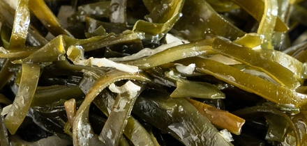 Правда ли, что морская капуста очень полезна