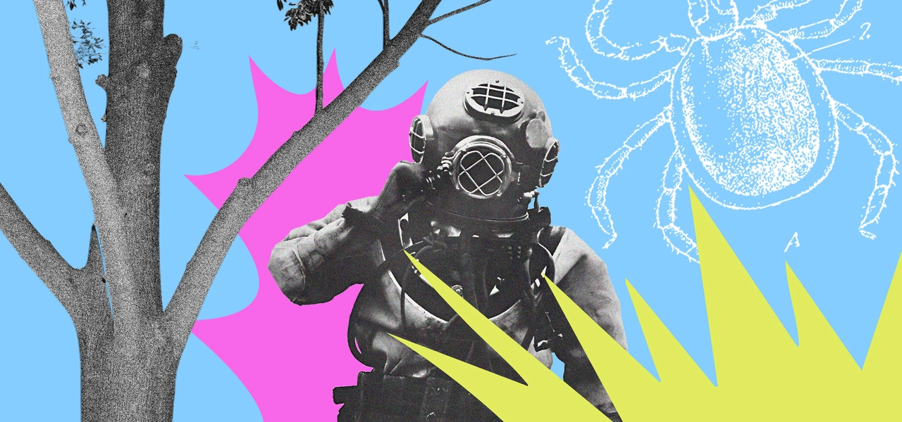 Как спастись от&nbsp;укуса клеща и&nbsp;что делать, если не спасся