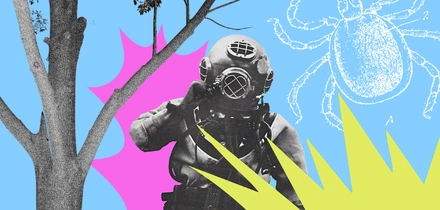 Как спастись от&nbsp;укуса клеща и&nbsp;что делать, если не спасся