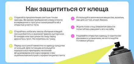 Как спастись от&nbsp;укуса клеща и&nbsp;что делать, если не спасся