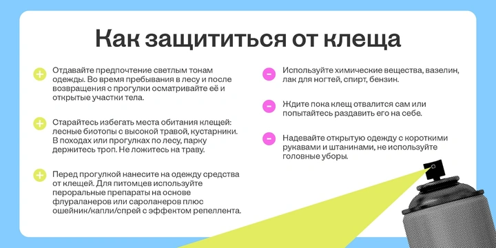 Как спастись от&nbsp;укуса клеща и&nbsp;что делать, если не спасся