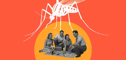 Почему комары меня кусают, а их не кусают