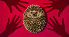 Не трогайте диких животных