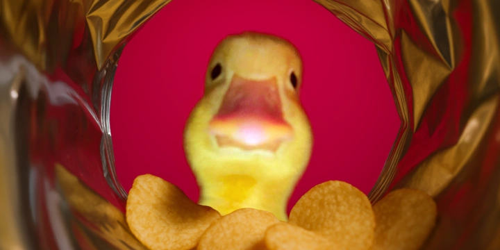 Не трогайте диких животных