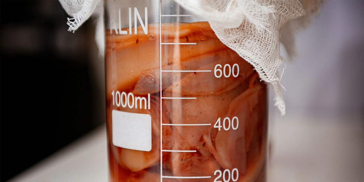 Первая комбуча в&nbsp;России: история поставщика ВкусВилла