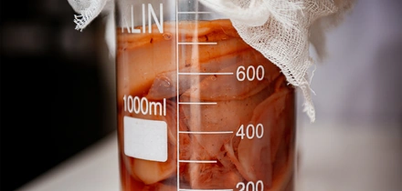 Первая комбуча в&nbsp;России: история поставщика ВкусВилла