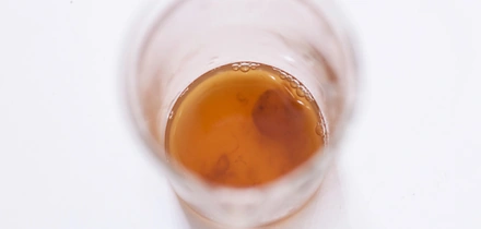 Первая комбуча в&nbsp;России: история поставщика ВкусВилла