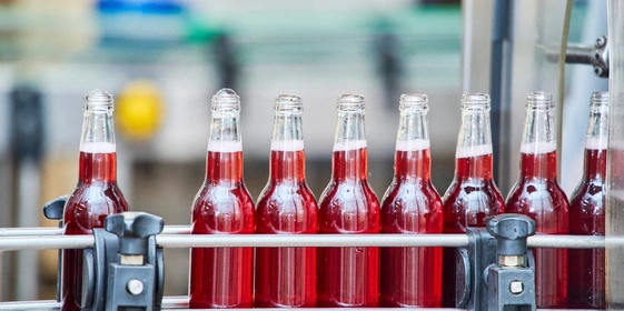 Первая комбуча в&nbsp;России: история поставщика ВкусВилла