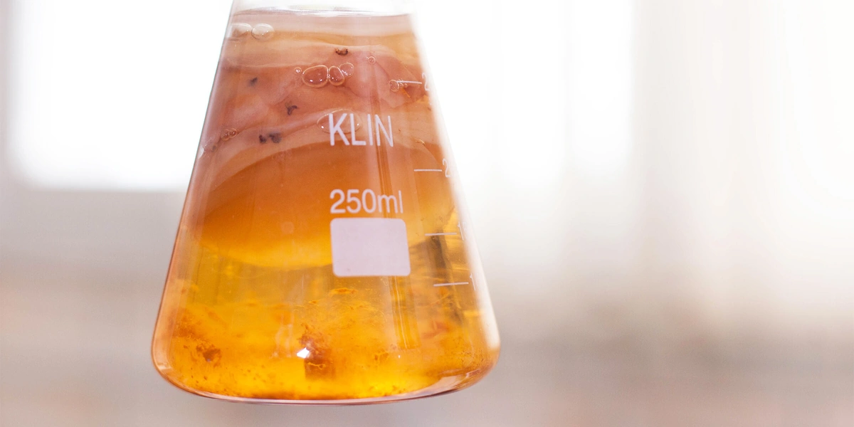 Первая комбуча в&nbsp;России: история поставщика ВкусВилла