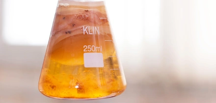 Первая комбуча в&nbsp;России: история поставщика ВкусВилла