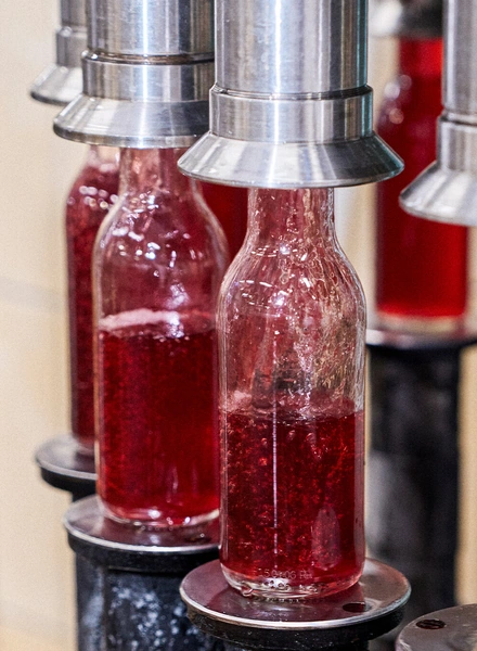 Первая комбуча в&nbsp;России: история поставщика ВкусВилла