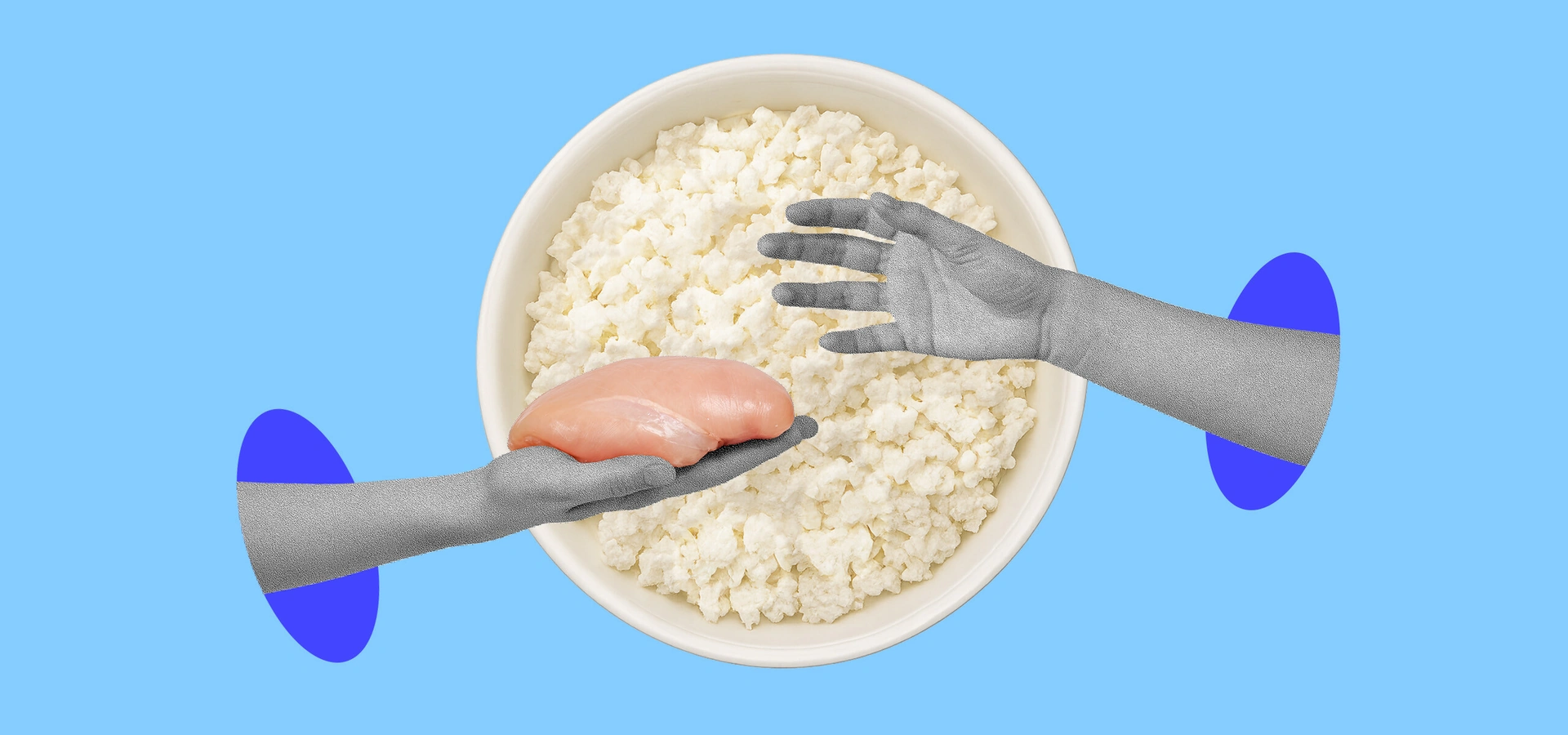 Правда ли, что протеин вреден, а куриная грудка — лучший источник белка