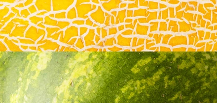 Как выбрать спелый и&nbsp;сладкий арбуз и&nbsp;дыню