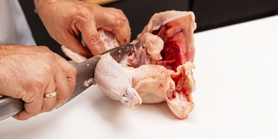 <b>Шаг 4: Отделяем ножки</b><br>Переверните тушку спинкой вверх. Ножки легко отделяются путем простого нажатия и&nbsp;отведения их от&nbsp;туловища. Срежьте ножки по&nbsp;контуру, двигаясь вдоль&nbsp;туловища. Чтобы разделить ножку на&nbsp;бедро и&nbsp;голень, возьмите её в&nbsp;руки, найдите сустав между&nbsp;этими частями (он легко прощупывается) и&nbsp;согните ножку до&nbsp;хруста. Разрежьте точно по&nbsp;линии сустава.