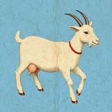 Правда ли, что козье молоко полезнее коровьего