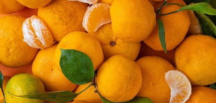 Поговорим про&nbsp;мандарин: что в&nbsp;нём полезного