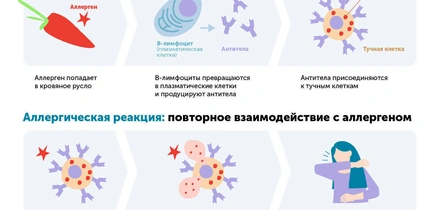 Азбука ВкусВилла: пищевая аллергия