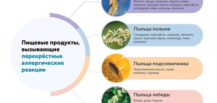 Азбука ВкусВилла: пищевая аллергия