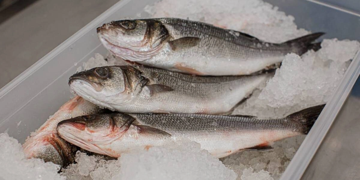 Свежий хлеб, горячая еда, потрошёная рыба: что заказать из&nbsp;дарксторов ВкусВилла