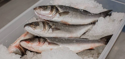 Свежий хлеб, горячая еда, потрошёная рыба: что заказать из&nbsp;дарксторов ВкусВилла