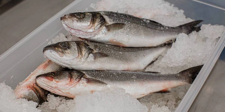 Свежий хлеб, горячая еда, потрошёная рыба: что заказать из&nbsp;дарксторов ВкусВилла