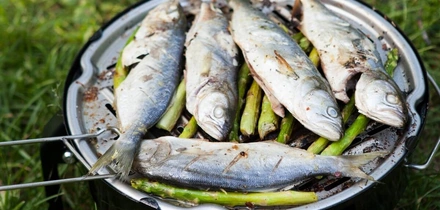 Рыба на&nbsp;мангале: какую выбрать, как замариновать и&nbsp;6 рецептов для&nbsp;гриля