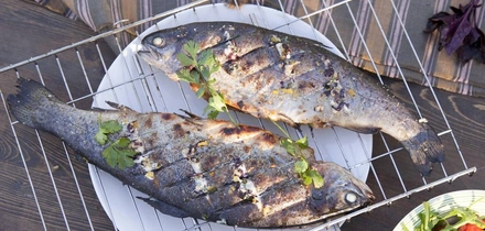 Шашлык без&nbsp;мяса: овощи, грибы и&nbsp;рыба на&nbsp;гриле