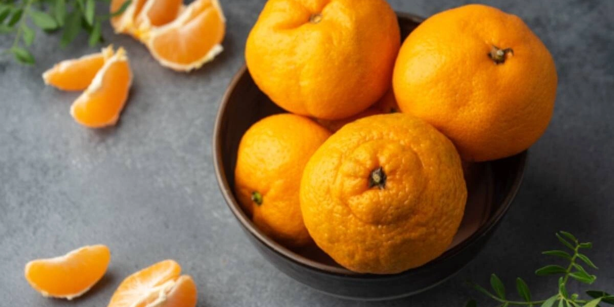 Как выбрать и&nbsp;хранить овощи и&nbsp;фрукты